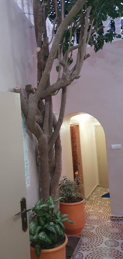 Surf Riad Taghazout Zewnętrze zdjęcie